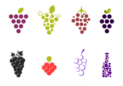 Grapes Vector Pack - Download Free Vectors, Clipart Graphics ...