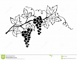 24+ Grape Vine Clip Art | ClipartLook