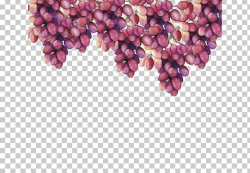 Grape Watercolor Painting Drawing PNG, Clipart, Button ...