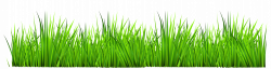 Pin by Ghada Salah on Craft | Grass decor, Grass clipart, Grass