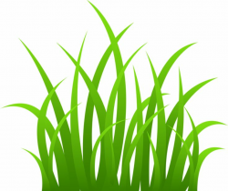 Animated Grass Clipart | Free download best Animated Grass Clipart ...