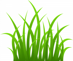 Free Animated Grass Cliparts, Download Free Clip Art, Free Clip Art ...