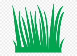 Grass Clipart - Cartoon Blades Of Grass - Png Download (#3775 ...