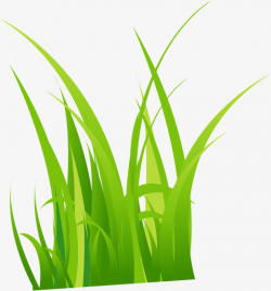 Cartoon Lines Grass, Cartoon Clipart, Grass Clipart, Cartoon PNG ...