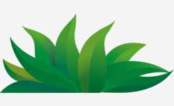 Cartoon Green Grass PNG, Clipart, Cartoon, Cartoon Clipart, Dig ...