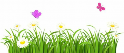 simple drawinds of grass and flowers - Google Search | Grass a ...