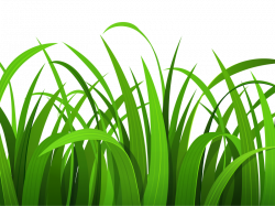 Free Grass Cliparts, Download Free Clip Art, Free Clip Art on ...