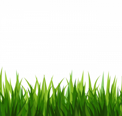 Grass clipart image green - Cliparting.com