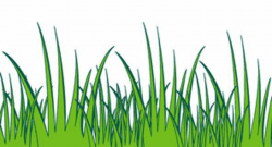 Jungle grass clipart – Gclipart.com