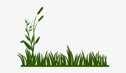 Grass Free On Dumielauxepices Net - Jungle Grass Clipart Transparent ...