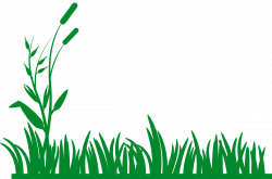 Collection of free Tropical vector jungle grass. Download on UI Ex