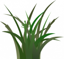 Green Grass Clip Art at Clker.com - vector clip art online, royalty ...