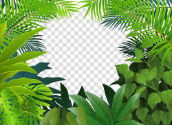 Tropical rainforest Jungle Tropics , Yin green grass, green plant ...