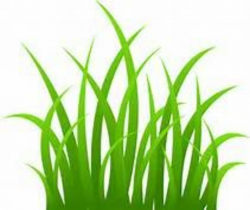 tall grasses in the jungle clip art - Yahoo Image Search Results ...