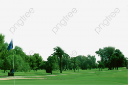 Park Plants Landscape Grass And Trees, Plants Clipart, Landscape ...