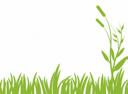 Grass lawn clipart free images – Gclipart.com