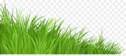 Lawn Clip Art Grass Png Download 1280 552 Free Transparent Expensive ...