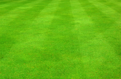 Free Grass Field Cliparts, Download Free Clip Art, Free Clip Art on ...