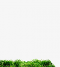 Grass, Grass Clipart, Lawn, Grass Green PNG Image and Clipart for ...