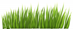 Grass clipart printable, Grass printable Transparent FREE for ...