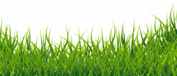 Grass clipart 2 - WikiClipArt