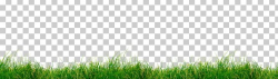 Wheatgrass Lawn Grassland Sky Plc PNG, Clipart, Commodity, Field ...