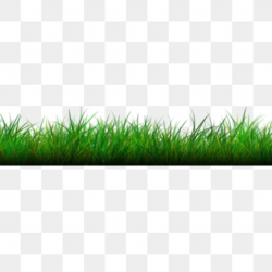 Grass PNG Images, Download 16,294 PNG Resources with Transparent ...