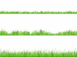 Grass Vectors, Photos and PSD files | Free Download