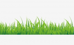 Green Hand Painted Small Grass Border Texture PNG, Clipart, Border ...
