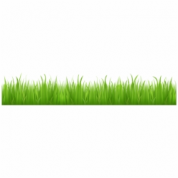 Grass PNG, Backgrounds and Vectors Free Download - Sccpre.Cat