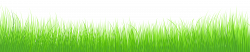 Free Grass Border Cliparts, Download Free Clip Art, Free Clip Art on ...
