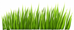 Transparent Clipart Image Grass png Decor Clipart Picture - Free ...