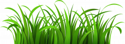 HD Image Library Library Grass Clipart Png - Grass Clipart , Free ...