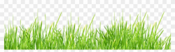 Grass clipart transparent background 3 » Clipart Portal