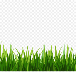 Free Grass Transparent Background Png, Download Free Clip Art, Free ...