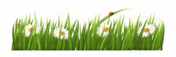 28 Collection Of Grass Clipart No Background - Transparent ...