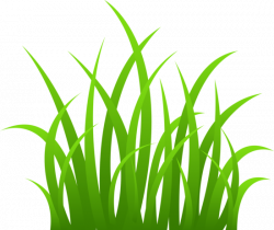 Grass Clip Art | Grass on Transparent Background | silhouettes ...