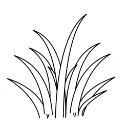 Grass black and white bush grass clipart black and white ...