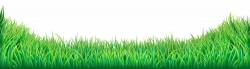 Lawn Clip art - Grass PNG Transparent Clip Art Image png ...