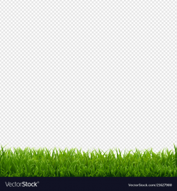 Grass border transparent background