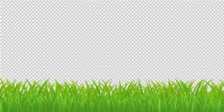 Green grass border, isolated on transparent background ...