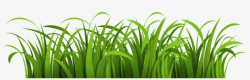 Cartoon Grass Transparent Background - Free Transparent PNG ...