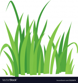 Cartoon Grass & Free Cartoon Grass.png Transparent Images ...