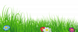 Grass Transparent Clipart | Gallery Yopriceville - High ...