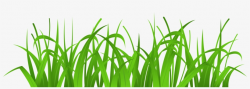 Grass Cover Png Clip Art - Clipart Grass - Free Transparent ...