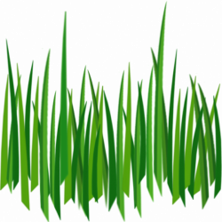 Green Grass Background clipart - Grass, transparent clip art