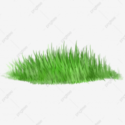 Hand Drawn Grass Elements, Grass, Green, Turf PNG ...