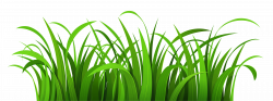 Lawn Clip art - Easter Grass Cliparts png download - 5700 ...