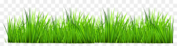 Green Grass Background png download - 3788*974 - Free ...