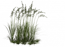 Transparent Clipart Image grass png 1 with flower - Free ...